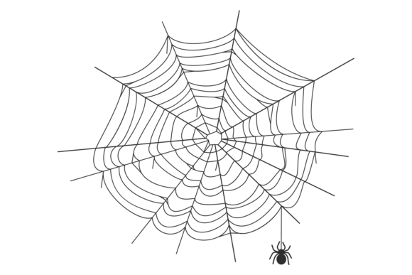 Download Spiderweb Graphic Element. Round Net Bla - Premium Bundle